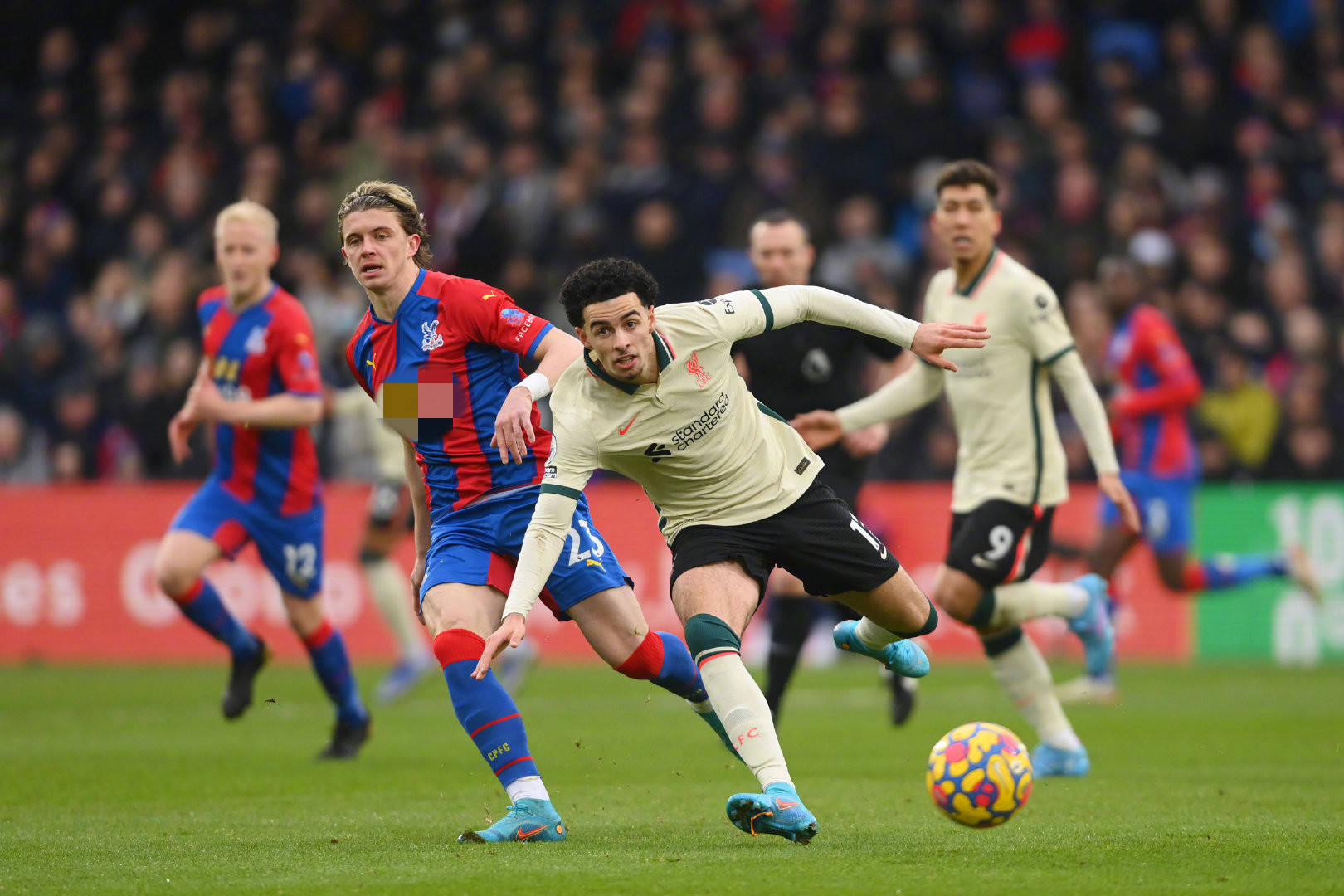 这为他们奠 这为他们奠